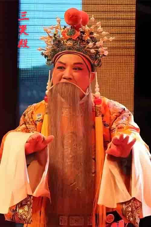 豫剧《三哭殿》贾廷聚