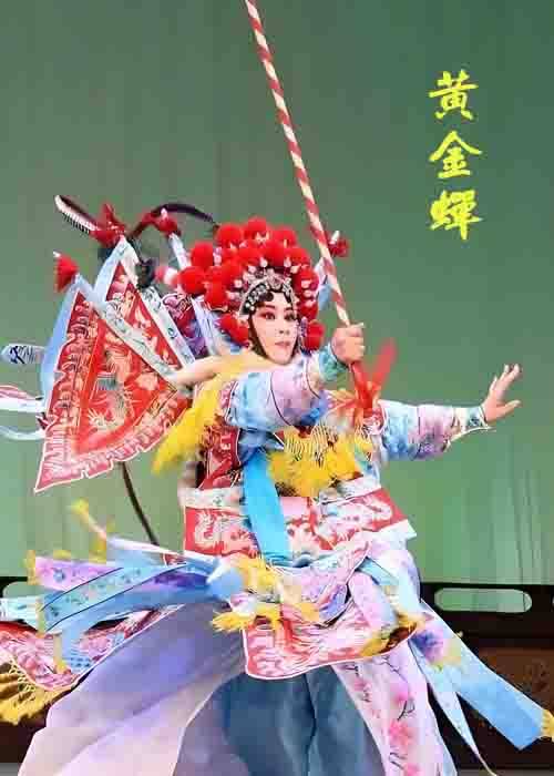 《黄金蝉》徐俊霞