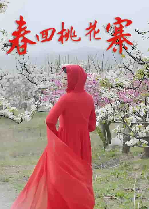 影视《春回桃花寨》候守卫 牛洪涛 张淑慧